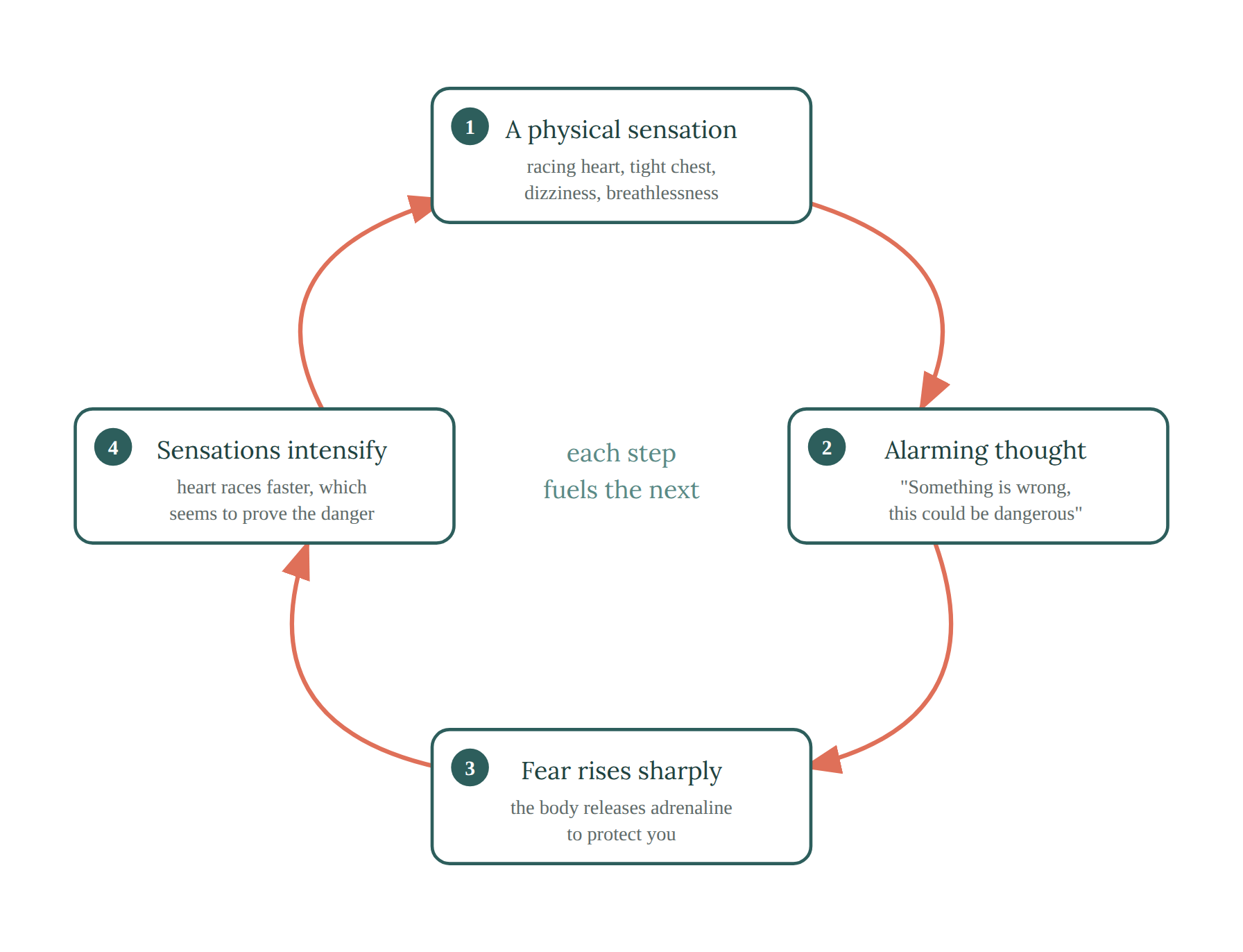 The panic cycle: a physical sensation (racing heart, tight chest, dizziness, breathlessness) leads to an alarming thought ('something is wrong, this could be dangerous'), fear rises sharply as the body releases adrenaline, and sensations intensify — seeming to prove the danger. Each step fuels the next.